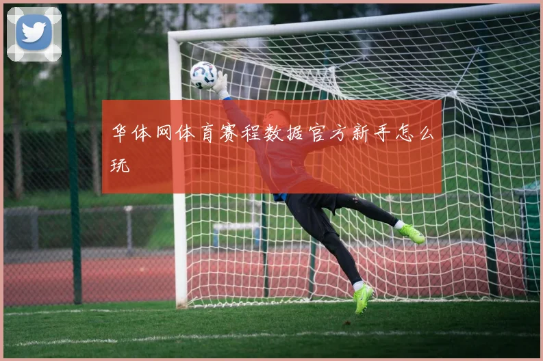 华体网体育赛程数据官方新手怎么玩