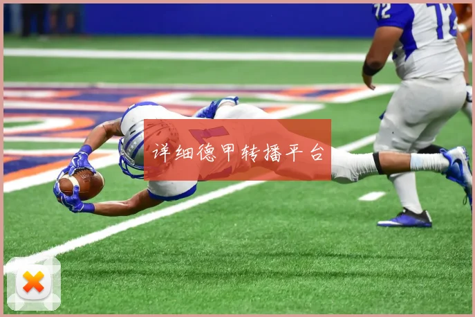 详细德甲转播平台