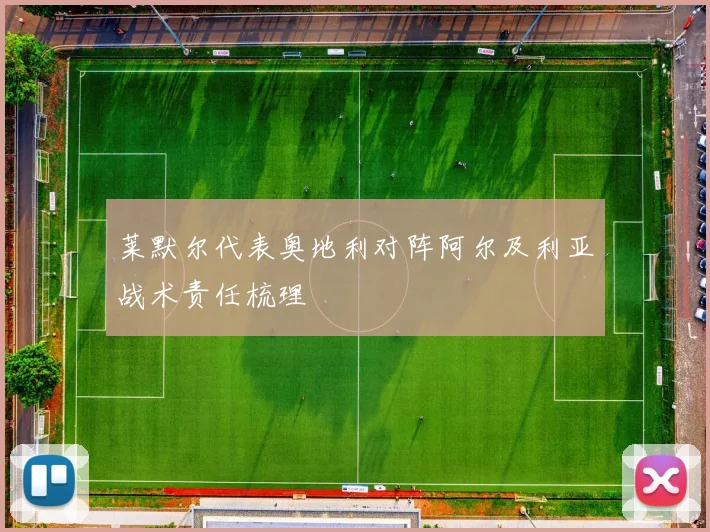 莱默尔代表奥地利对阵阿尔及利亚战术责任梳理